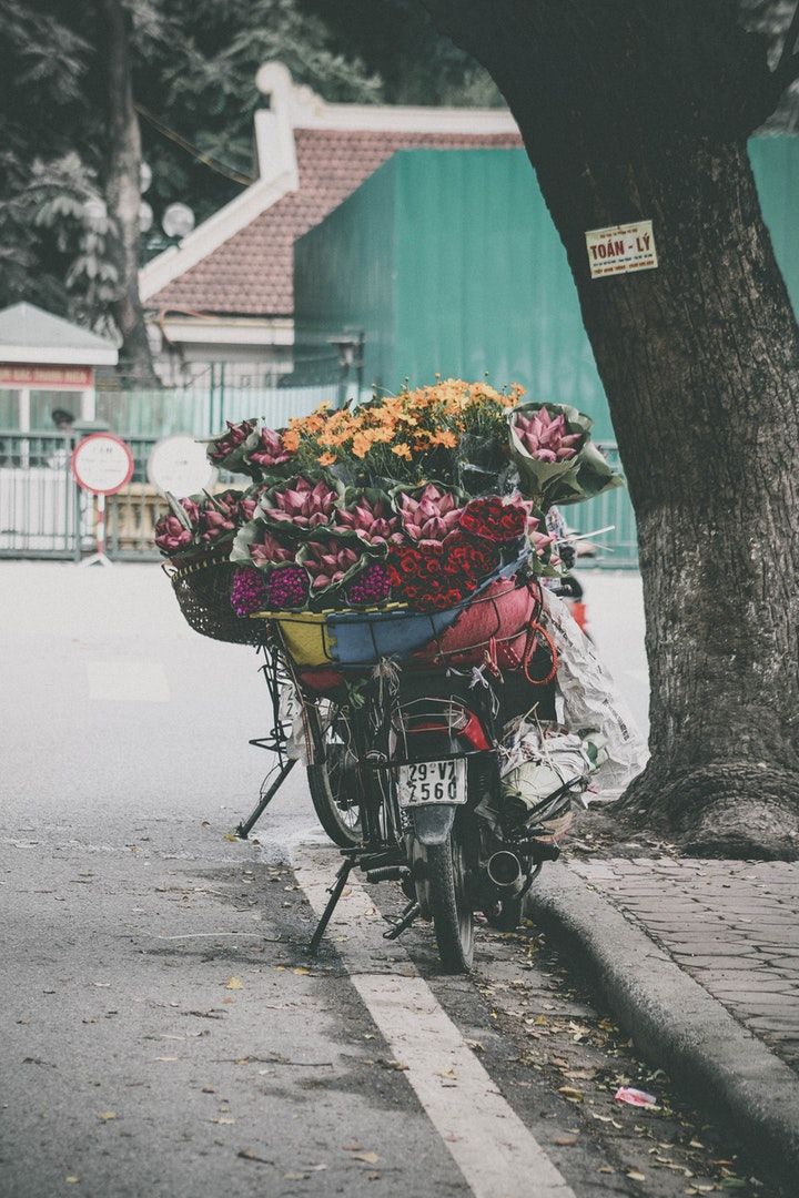 Mobirise